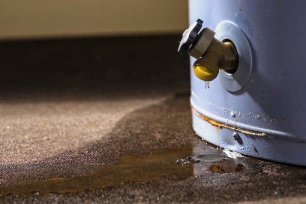 Best Local water damage restoration  in Keshena, WI