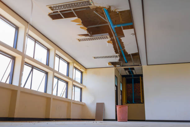 Best Water damage contractors near me  in Keshena, WI
