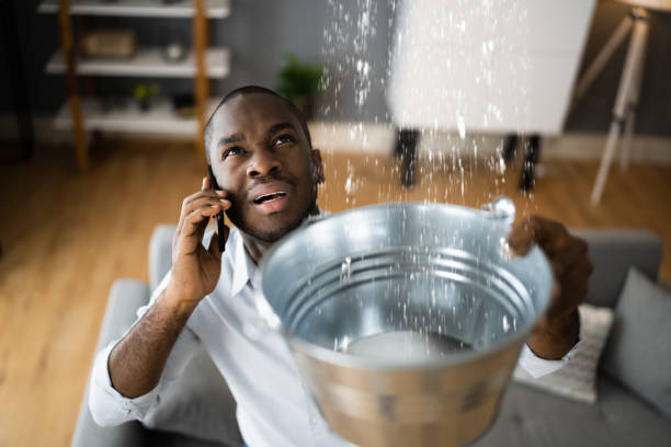 Best Water damage restoration cost  in Keshena, WI