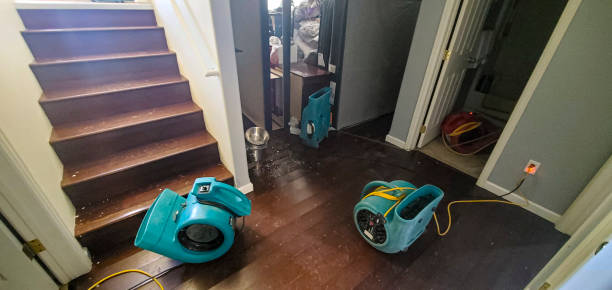 Best Water damage restoration process  in Keshena, WI