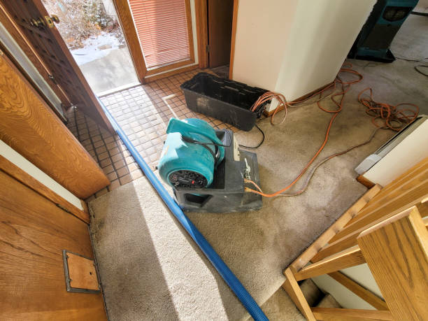 Best Residential water damage restoration  in Keshena, WI