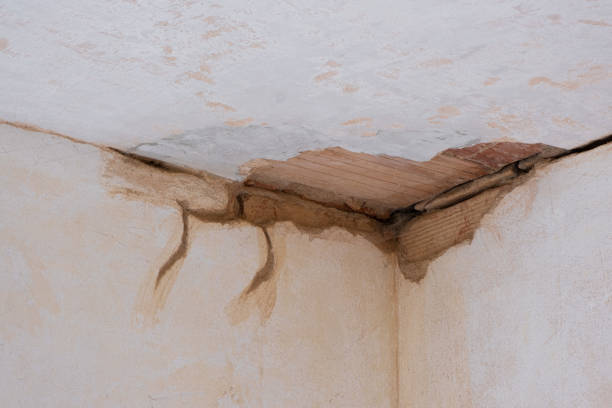 Best Flood restoration services  in Keshena, WI