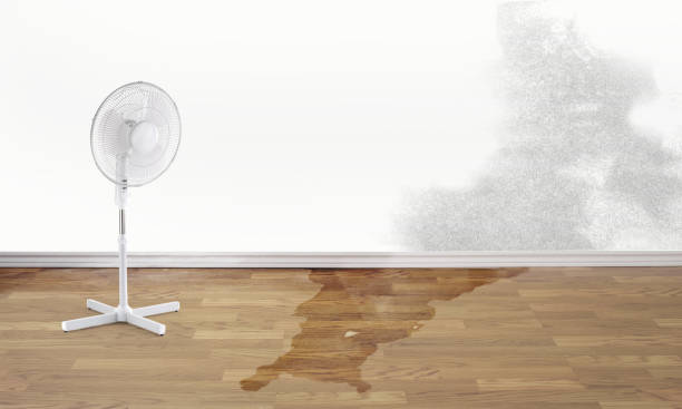 Professional Water damage restoration in Keshena, WI
