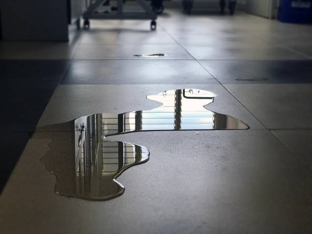 Best Carpet water damage restoration  in Keshena, WI