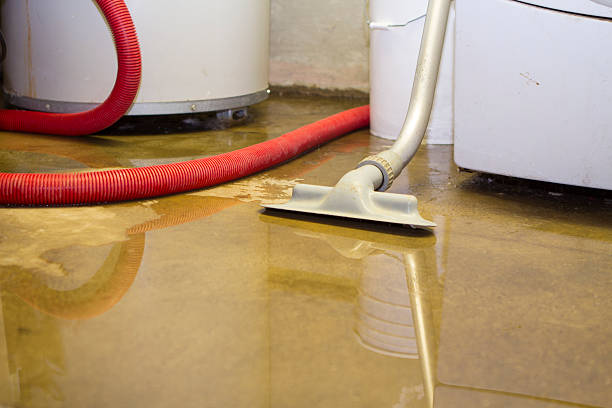 Best Flood restoration services  in Keshena, WI