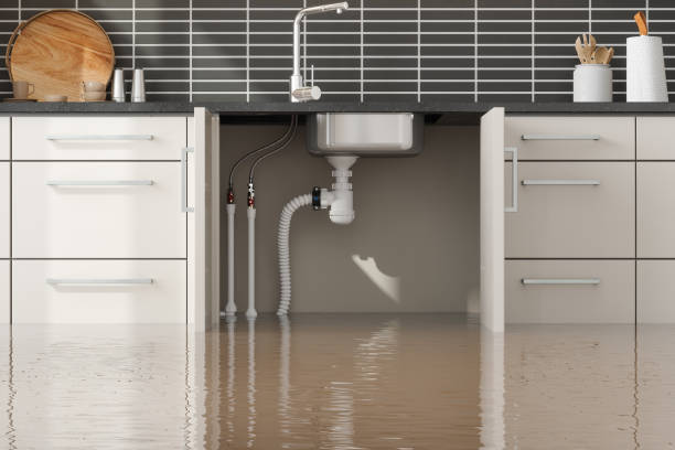 Best Mold removal after water damage  in Keshena, WI