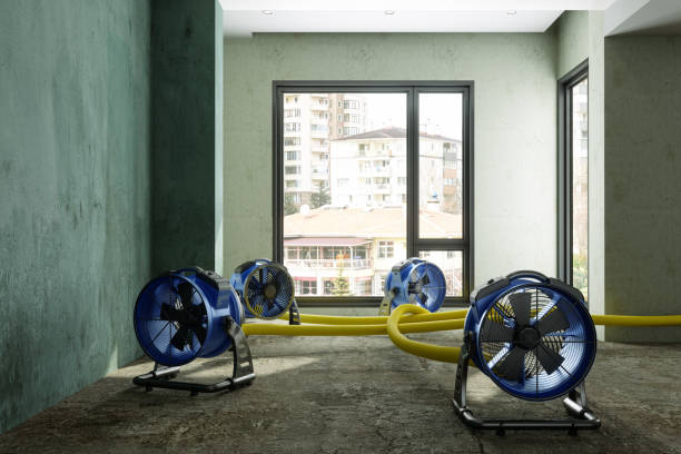 Best 24-hour water damage restoration  in Keshena, WI