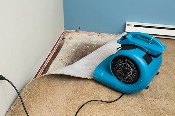 Best Sewage cleanup and water damage restoration  in Keshena, WI